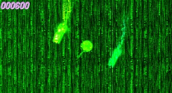 Image 0 for Acidtrip