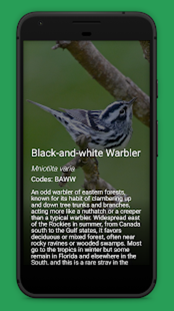 Image 1 for Daily Bird