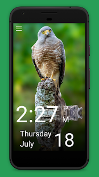 Image 2 for Daily Bird