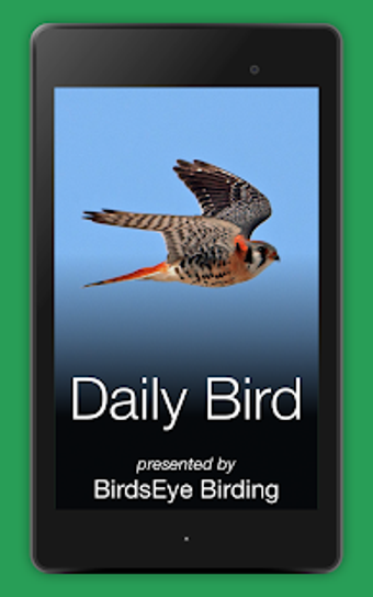 Image 0 for Daily Bird
