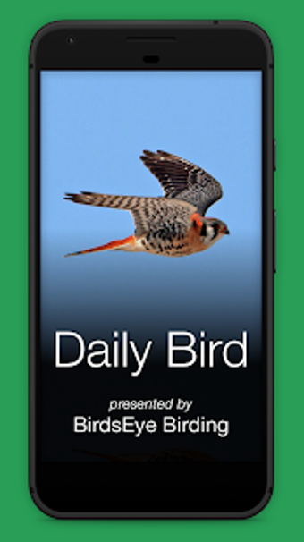 Image 3 for Daily Bird