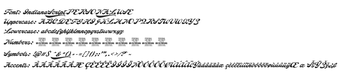 Imagen 0 para Indiana Script