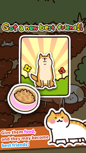 Image 1 for Field of Cats