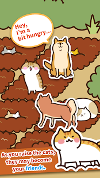 Image 3 for Field of Cats