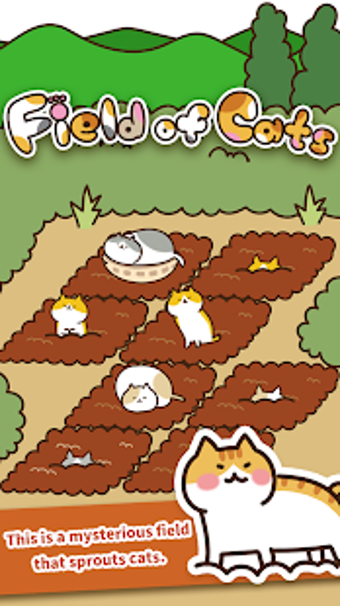 Image 2 for Field of Cats