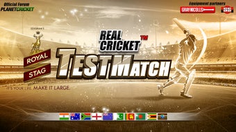 Image 2 for Real Cricket Test Match