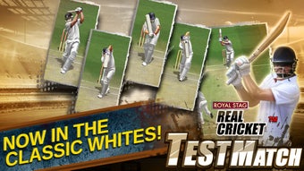 Image 3 for Real Cricket Test Match