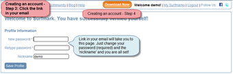 Imagen 0 para Surfmark Extension