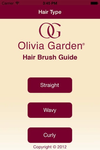 Imagen 0 para Hair Brush Guide