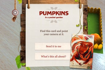 Image 2 for Pumpkins in a Pocket Gard…