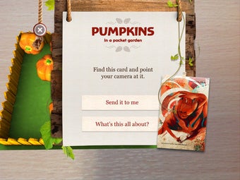Image 5 for Pumpkins in a Pocket Gard…
