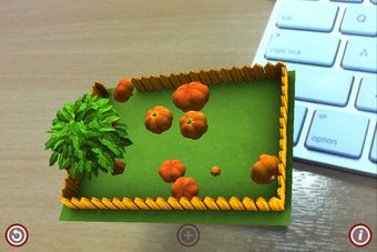 Image 4 for Pumpkins in a Pocket Gard…