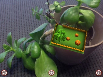 Image 3 for Pumpkins in a Pocket Gard…