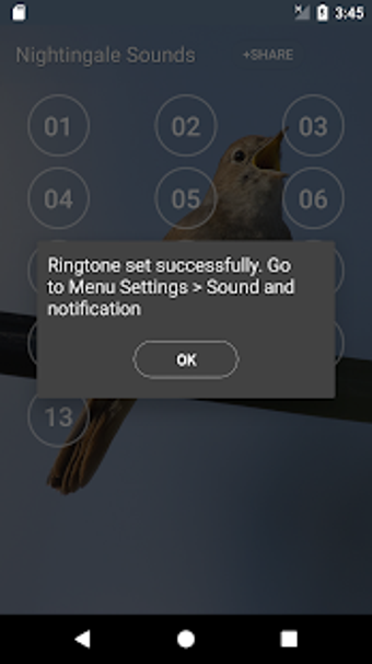 Imagen 2 para Nightingale Bird Sound Ri…