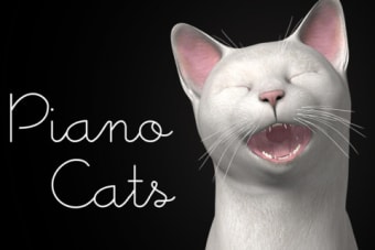 Image 0 for Piano Cats Free