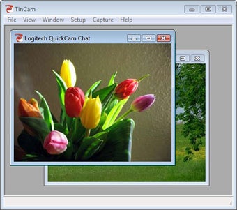 Imagen 0 para TinCam