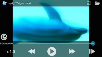 Imagen 2 para Slow motion/Frame Player