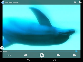 Imagen 2 para Slow motion/Frame Player