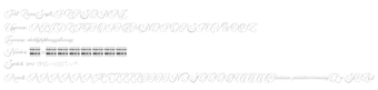 Imagen 0 para Encina Script
