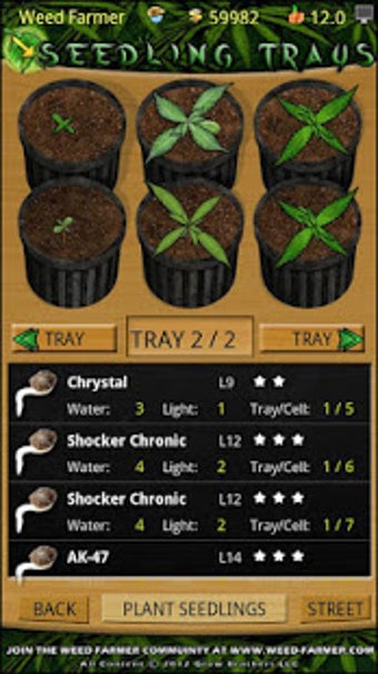 Image 1 for Weed Farmer Overgrown