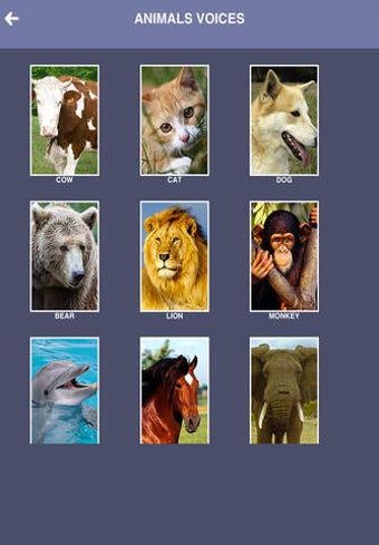 Image 0 for Animals Songs - Speaking …