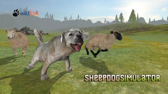Image 2 for Sheepdog Simulator