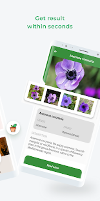 Image 0 for LeafSnap - Plant Identifi…