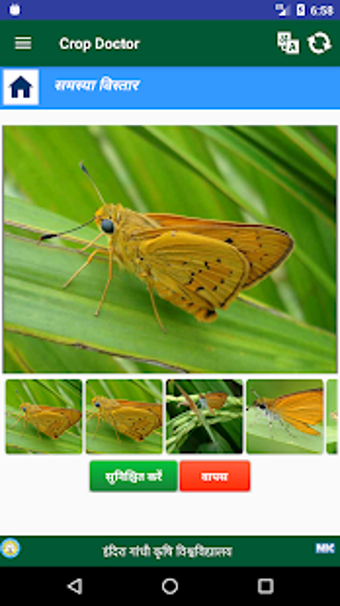 Imagen 0 para Crop Doctor