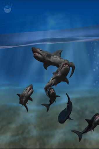 Image 0 for Shark Fingers! 3D Interac…