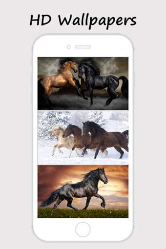 Image 0 for Horse Wallpapers and Back…