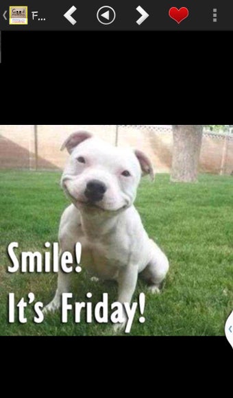 Image 3 for Good Morning Wish Quotes