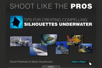 Image 0 for Silhouettes Underwater - …