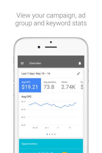 Image 0 for Google AdWords - Business…