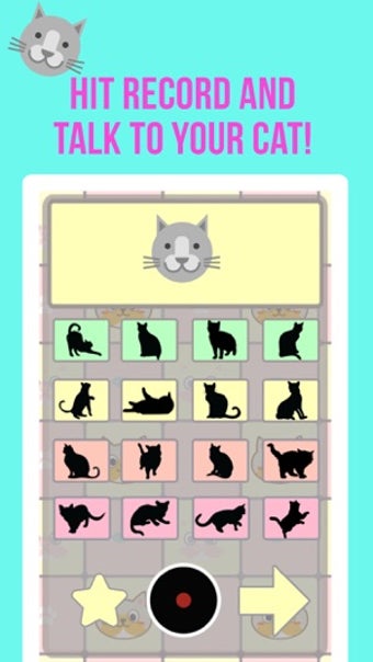 Image 0 for Crazy Cat Translator & So…