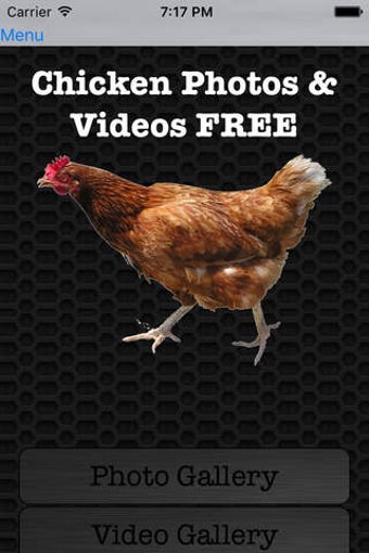 Image 0 for Chicken Photos & Videos F…