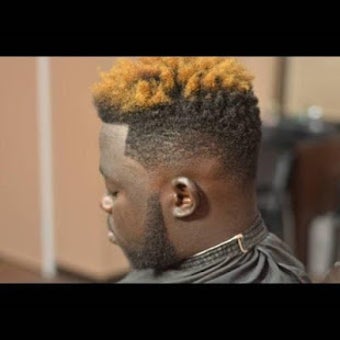 Image 2 for Hairstyles For African & …