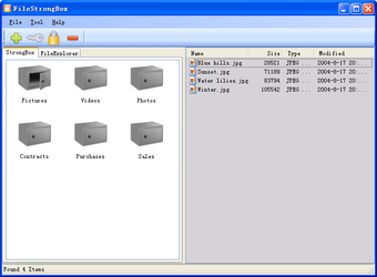 Image 0 for Janus File StrongBox