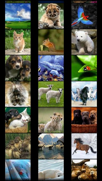 Imagen 0 para Animal Wallpapers