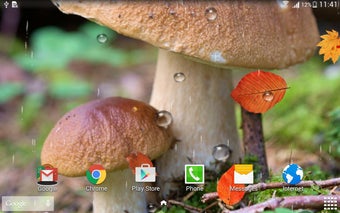 Imagen 2 para Mushrooms Live Wallpaper