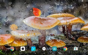 Imagen 1 para Mushrooms Live Wallpaper