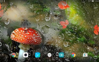 Imagen 0 para Mushrooms Live Wallpaper