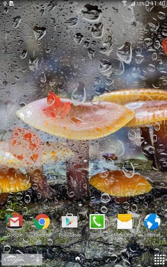 Imagen 3 para Mushrooms Live Wallpaper