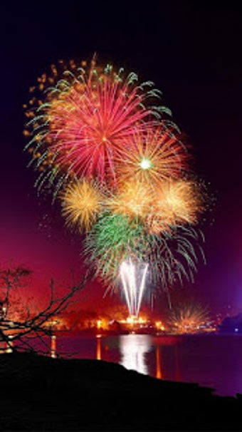 Image 1 for Fireworks Live Wallpaper