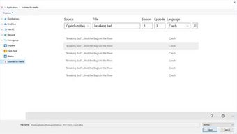 Imagen 1 para Subtitles for Netflix for…