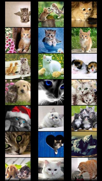 Image 0 for Cats Wallpapers