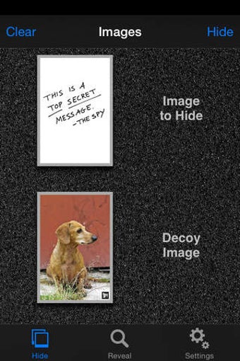 Image 0 for Spy Pix
