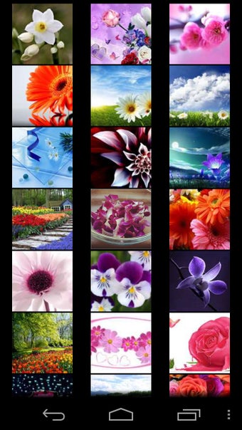 Imagen 0 para Flower Wallpapers