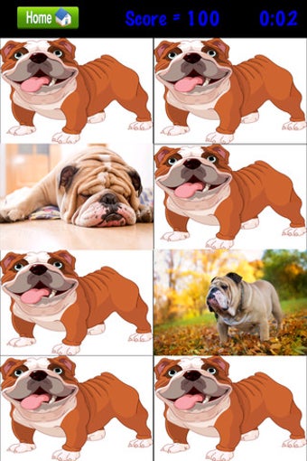 Image 0 for Bulldog Match