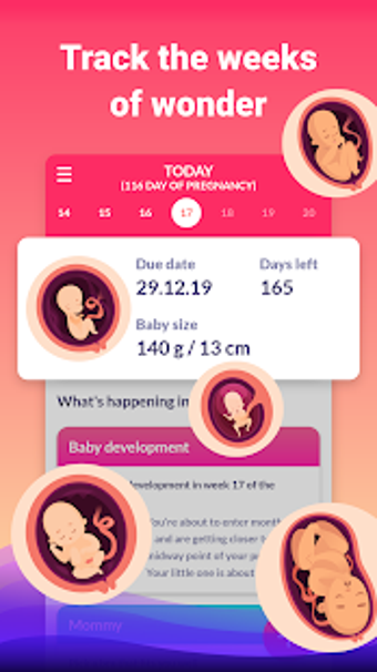Image 3 for Pregnancy due date tracke…