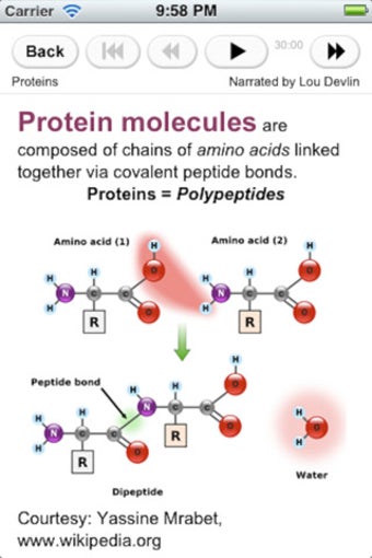 Imagen 2 para Molecular Biology Review